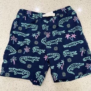 Chubbies Kids Navy Shorts with Fun Print